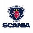 Резина зимняя для Scania (Скания)